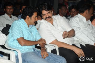 Cut Chesthe Movie Audio Launch